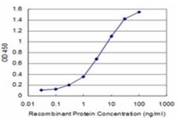 Axin-1 Antibody (2B11), Novus Biologicals 0.1 mg | Buy Online | Novus Biologicals | Fisher Scientific