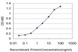 B-Myb Antibody (1C7), Novus Biologicals 0.1 mg; Unconjugated:Antibodies,