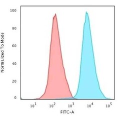 B220/CD45R Antibody (PTPRC/1461), Novus Biologicals 100&mu;g; Unlabeled:Antibodies,