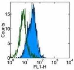 B7-1/CD80 Antibody (16-10A1) - BSA Free, Novus Biologicals:Antibodies:Primary