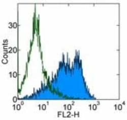 B7-1/CD80 Antibody (16-10A1) - BSA Free, Novus Biologicals:Antibodies:Primary