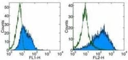 B7-1/CD80 Antibody (16-10A1) - BSA Free, Novus Biologicals:Antibodies:Primary