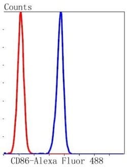 B7-2/CD86 Antibody (SJ20-00), Novus Biologicals 100&mu;L:Antibodies, Monoclonal