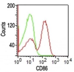 B7-2/CD86 Antibody (BU63), Novus Biologicals 0.02mg; Unlabeled:Antibodies,