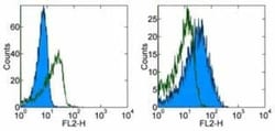B7-H4 Antibody (188), Novus Biologicals:Antibodies:Primary Antibodies