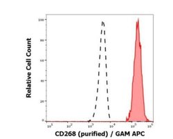 BAFFR/TNFRSF13C Antibody (11C1) - BSA Free, Novus Biologicals 0.1 mg | Buy Online | Novus Biologicals | Fisher Scientific