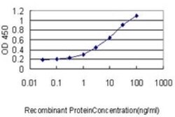 BAIAP2 Antibody (3F3-2D3), Novus Biologicals 0.1 mg | Buy Online | Novus Biologicals | Fisher Scientific