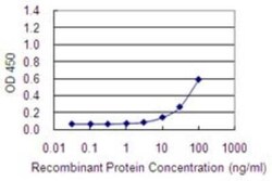 Novus Biologicals BAMBI/NMA Antibody (3C1-1D1), Novus Biologicals 0.1 mg | Buy Online | Novus Biologicals&trade; | Fisher Scientific