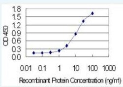 BATF3 Antibody (3H1), Novus Biologicals 0.1 mg | Buy Online | Novus Biologicals | Fisher Scientific
