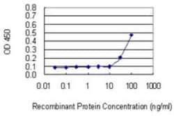 BCA3 Antibody (2B11), Novus Biologicals 0.1 mg | Buy Online | Novus Biologicals | Fisher Scientific