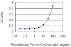 BCAP/PIK3AP1 Antibody (3C2), Novus Biologicals 0.1 mg | Buy Online | Novus Biologicals | Fisher Scientific