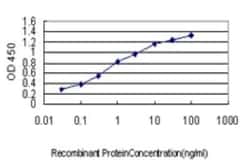 BCAR3 Antibody (3G4), Novus Biologicals 0.1 mg | Buy Online | Novus Biologicals | Fisher Scientific