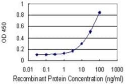 BCAT1 Antibody (1F8), Novus Biologicals 0.1 mg | Buy Online | Novus Biologicals | Fisher Scientific