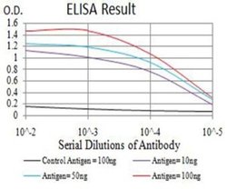 BCL11B Antibody (1F8H9) - BSA Free, Novus Biologicals:Antibodies:Primary