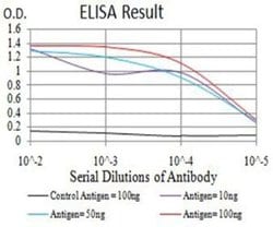 BCL2L10 Antibody (8A11G12) - BSA Free, Novus Biologicals 0.1 ml; Unconjugated:Antibodies,