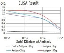 BCL2L10 Antibody (8A2F9) - BSA Free, Novus Biologicals 0.1 ml; Unconjugated:Antibodies,