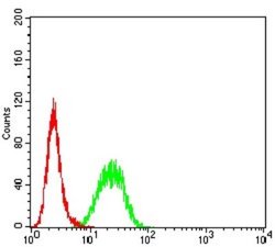 BCL2L10 Antibody (8A2F9) - BSA Free, Novus Biologicals 0.1 ml; Unconjugated:Antibodies,