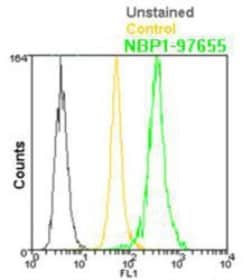 BCMA/TNFRSF17 Antibody (Vicky-1), FITC, Novus Biologicals™