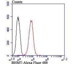BHMT Mouse anti-Human, Mouse, Rat, Clone: 90, Novus Biologicals 100 &mu;l;