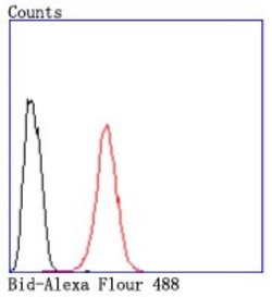 BID Rabbit anti-Human, Clone: JM11-14, Novus Biologicals 100&mu;L:Antibodies,