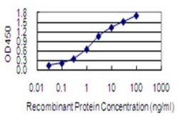 BLOC1S2 Antibody (8C10), Novus Biologicals 0.1 mg | Buy Online | Novus Biologicals | Fisher Scientific