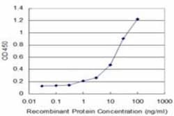 BMP-5 Antibody (1G6), Novus Biologicals 0.1 mg | Buy Online | Novus Biologicals | Fisher Scientific