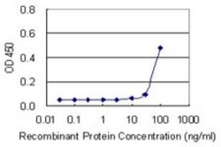 Novus Biologicals BMP-7 Antibody (S52), Novus Biologicals 0.1 mg | Buy Online | Novus Biologicals&trade; | Fisher Scientific