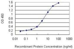 BMX Antibody (3G3), Novus Biologicals 0.1 mg | Buy Online | Novus Biologicals | Fisher Scientific