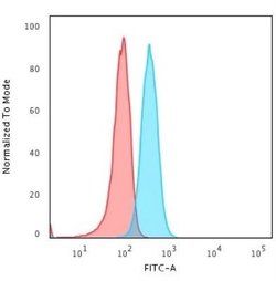 BOB1 Antibody (BOB1/2421) - Azide and BSA Free, Novus Biologicals 100 ug;