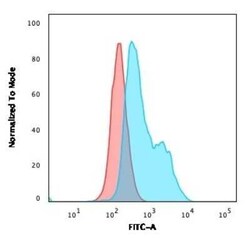BOB1 Antibody (BOB1/2424), Novus Biologicals:Anticuerpos:Anticuerpos primarios