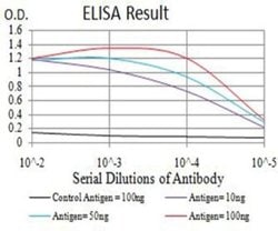 BRD2 Antibody (7C1B10) - BSA Free, Novus Biologicals:Antibodies:Primary