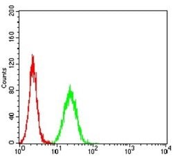 BRD2 Antibody (7C1B10) - BSA Free, Novus Biologicals:Antibodies:Primary