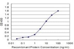BRD3 Antibody (6F3), Novus Biologicals 0.1 mg | Buy Online | Novus Biologicals | Fisher Scientific