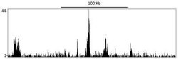 BRD4 Antibody (BL-149-2H5), Novus Biologicals 100 &mu;L; Unconjugated:Antibodies,