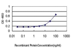 BTN2A1 Antibody (3A1), Novus Biologicals 0.1 mg | Buy Online | Novus Biologicals | Fisher Scientific