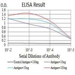 BTN2A2/Butyrophilin 2 Antibody (6C7D2) - BSA Free, Novus Biologicals:Antibodies:Primary