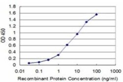 BarX1 Antibody (1E7), Novus Biologicals 0.1 mg | Buy Online | Novus Biologicals | Fisher Scientific
