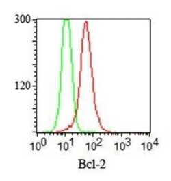 Bcl-2 Antibody (100/D5), Novus Biologicals:Antibodies:Primary Antibodies