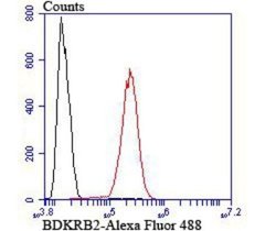 Bradykinin RB2/BDKRB2 Rabbit anti-Human, Mouse, Clone: JU39-04, Novus Biologicals