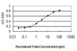 BubR1 Antibody (2G5), Novus Biologicals 0.1 mg | Buy Online | Novus Biologicals | Fisher Scientific
