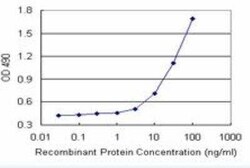 C1q Antibody Pair, Novus Biologicals 1 Set | Buy Online | Novus Biologicals | Fisher Scientific