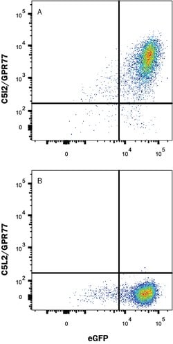 Human C5L2/GPR77 Antibody, R D Systems 100 ug; Unconjugated:Antibodies,