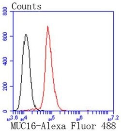 CA125/MUC16 Antibody (SN0715), Novus Biologicals 100&mu;L:Antibodies, Monoclonal