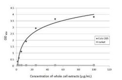CA19-9/Sialyl Lewis A Antibody (GT174), Novus Biologicals 100 &mu;g; Unconjugated:Antibodies,