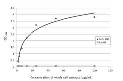 CA19-9/Sialyl Lewis A Antibody (GT8510), Novus Biologicals 100 &mu;g; Unconjugated:Antibodies,