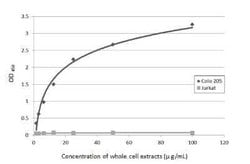 CA19-9/Sialyl Lewis A Antibody (GT8510), Novus Biologicals 100 &mu;g; Unconjugated:Antibodies,