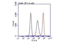 CA19-9/Sialyl Lewis A Antibody (GT933), Novus Biologicals 100 &mu;g; Unconjugated:Antibodies,