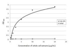 CA19-9/Sialyl Lewis A Antibody (GT933), Novus Biologicals 100 &mu;g; Unconjugated:Antibodies,