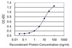 CACNA2D2 Antibody (4E3), Novus Biologicals 50 &mu;g | Buy Online | Novus Biologicals | Fisher Scientific
