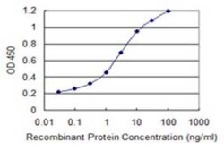 CALML5 Antibody (2F10), Novus Biologicals 0.1 mg | Buy Online | Novus Biologicals | Fisher Scientific